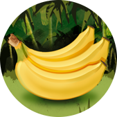 5bananen 169-169.png