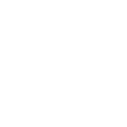 Datei:Indien symbol civ6 inv.png
