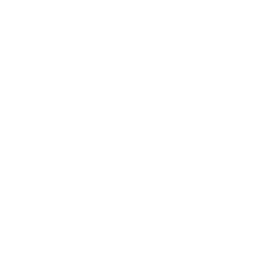 Datei:Amerika symbol civ6 inv.png