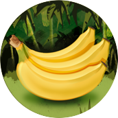 5bananen 172-172.png