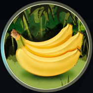 5 Testbild Bananen 188x188.png