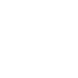 Datei:England symbol civ6 inv.png