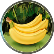 5bananen rund.png