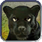 Civ4 button Panter.gif