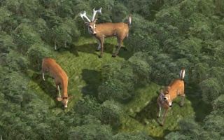 Wild-Bild (Civ5).jpg