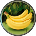 5bananen 188-188.png