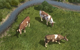 Rind-Bild (Civ5).jpg