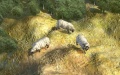 Schafe-Bild (Civ5).jpg