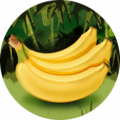 5bananen 169-169.png