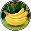 5bananen rund weicher rand.png