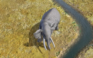 Elfenbein-Bild (Civ5).jpg