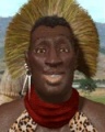Civ3Zulu.jpg