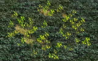 Bananen-Bild (Civ5).jpg
