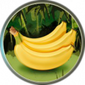 5bananen rund weich.png