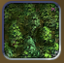 Civ4FFH JungerWald.png