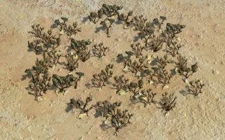 Weihrauch-Bild (Civ5).jpg