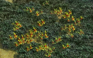 Gewürze-Bild (Civ5).jpg